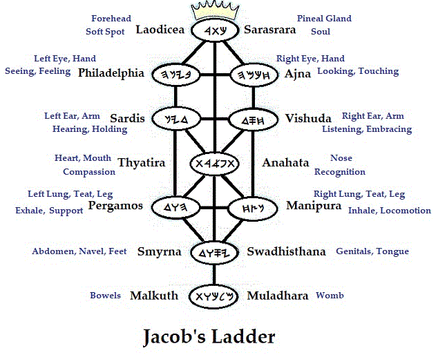 The paths and the way